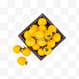 黄色水果西红柿