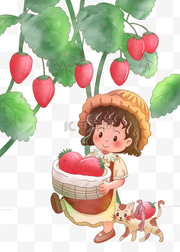 草莓植物树叶图片_女孩与猫摘草莓