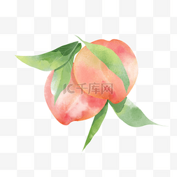 水蜜桃子梨图片_水彩夏季水果水蜜桃