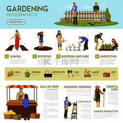 蔬菜种子种子图片_带有园艺横幅的园艺信息图表模板