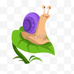 树叶上的蜗牛图片_绿叶上的紫色蜗牛