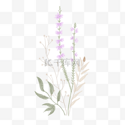 紫色盛开的花朵图片_野花花卉水彩风格婚礼