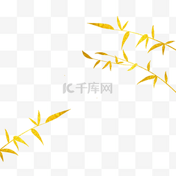 树叶烫金图片_金箔金边植物竹叶