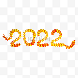 3d橘色线圈字2022
