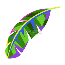 香蕉热带图片_程式化的棕榈叶的插图。