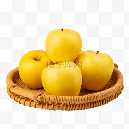 金黄苹果果实