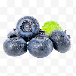 蓝莓夏黑图片_夏天水果蓝莓