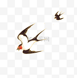 毛茸茸的小鸟图片_春天国风燕子飞翔