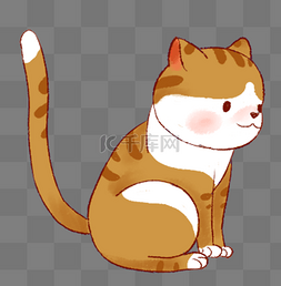 橘色小猫猫咪