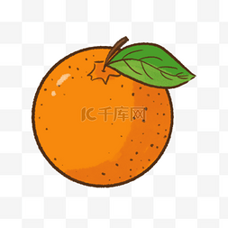 水果卡通卡通图片_水果橘子橙色可爱圆形