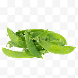 蔬菜食材绿色荷兰豆