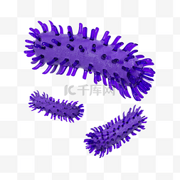 医疗紫色图片_3D细菌C4D菌群细胞病菌医疗场景