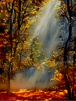 森林的风景图片_阳光投射下的秋林
