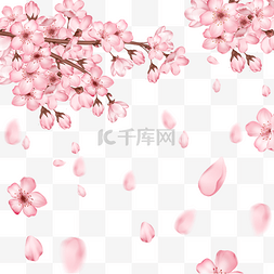 春季花瓣飘落光效樱花飞舞日本