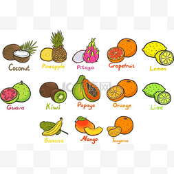 卡通手绘番石榴图片_热带水果。菠萝、 香蕉、 柠檬、 