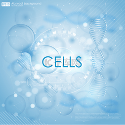 与 Dna 和细胞的医学背景