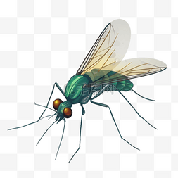 蚊子躲避图片_扁平插画手绘免抠元素蚊子