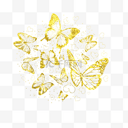 多只金粉光效蝴蝶