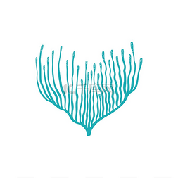 蓝色柔软图片_柔软的水族馆珊瑚有长长的尖端被