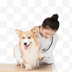 宠物女医生图片_宠物医生人物