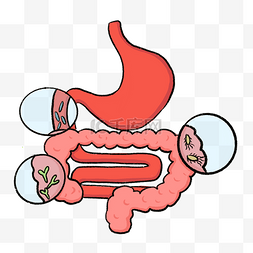 脏空气肠道图片_肠道健康