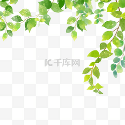 淡雅边框背景图片_春天茂密活力植物群水彩尤加利叶