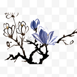盛开的玉兰花图片_蓝色的玉兰花水墨