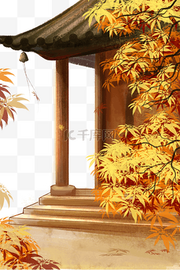 黄昏下的枫树图片_秋天秋季古风枫叶风景