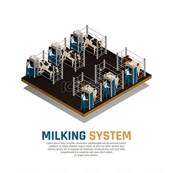 乳制品生产奶厂等距组合与可编辑