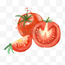 西红柿水彩蔬菜水果新鲜美味
