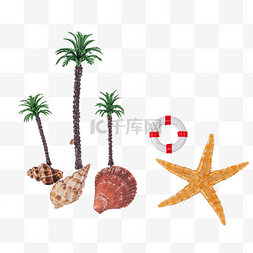贝壳海螺海星图片_夏季度假椰子树海星
