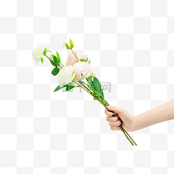 手拿白色蔷薇花