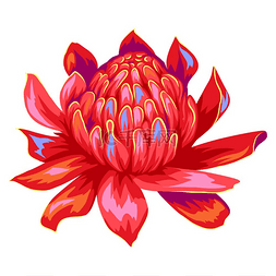 格鲁吉亚国徽图片_热带花的插图装饰性外来植物热带