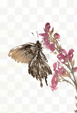 蝴蝶与花水墨