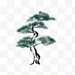 水墨植物松树