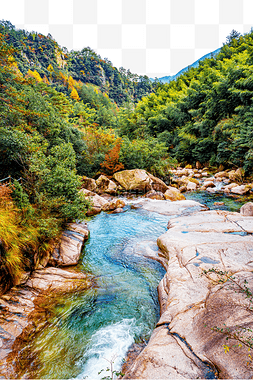 秋天风光水坝河流植物