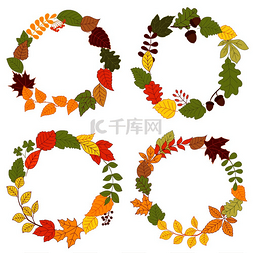 橡叶图片_秋天的花环由五颜六色的树枝、秋