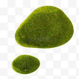 石的图片_石苔藓青苔藓