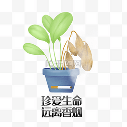 禁止吸烟烟熏植物