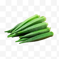 秋葵蔬菜食材绿色