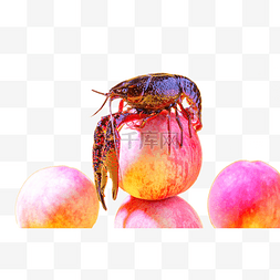 龙虾海鲜水蜜桃