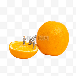 橙子微距人