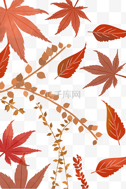秋季植物底纹图片_秋天枝叶树叶底纹