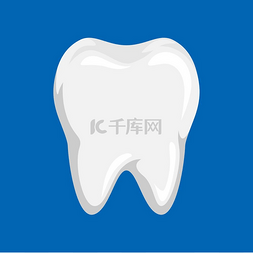 口腔里的牙齿图片_清洁牙齿的插图。
