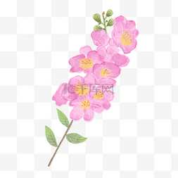 婚礼图案设计图片_紫薇花树水彩风格花卉