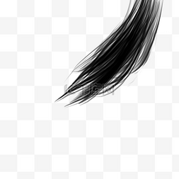 女士长发盘发造型图片_长发发型发丝头发笔刷