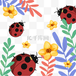 五彩植物叶子瓢虫花朵春季