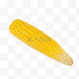 农作物黄玉米