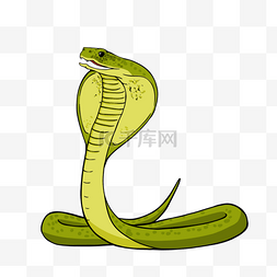 蛇动物卡通图片_卡通凶猛眼镜蛇剪贴画