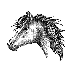 克莱因蓝logo图片_沉重的农场马的侧面孤立的克莱兹